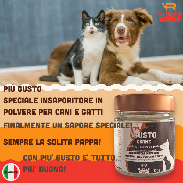 Speciale insaporitore in polvere appetizzante per cani e gatti gusto carne, ideale per animali inappetenti, pratico e veloce