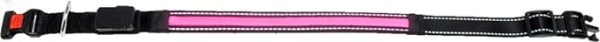Karlie oLED - Collare con caricatore USB, 34 - 36 cm