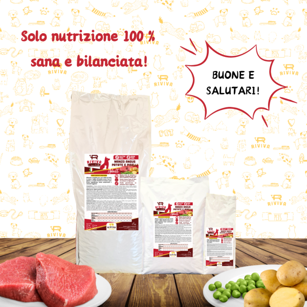 Crocchette con Manzo Angus Piselli e Patate Monoproteiche per Cani Adulti, Grain Free e Gluten free