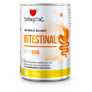 *INTESTINAL* POLLO DISUGUAL DIET DOG UMIDO CANE 400 GR