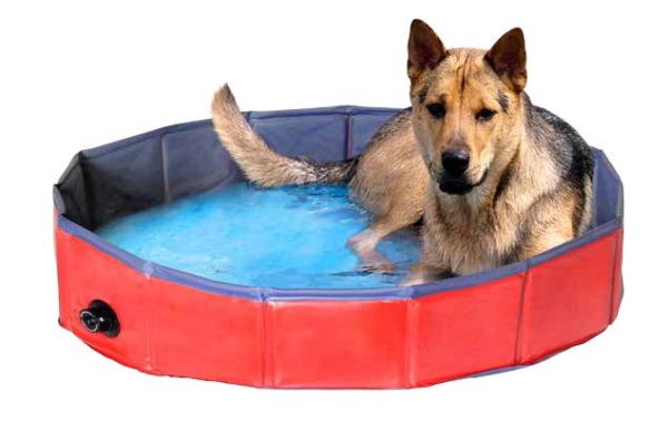 Piscina Per Cani Camon richiudibile diametro120 altezza 30 cm