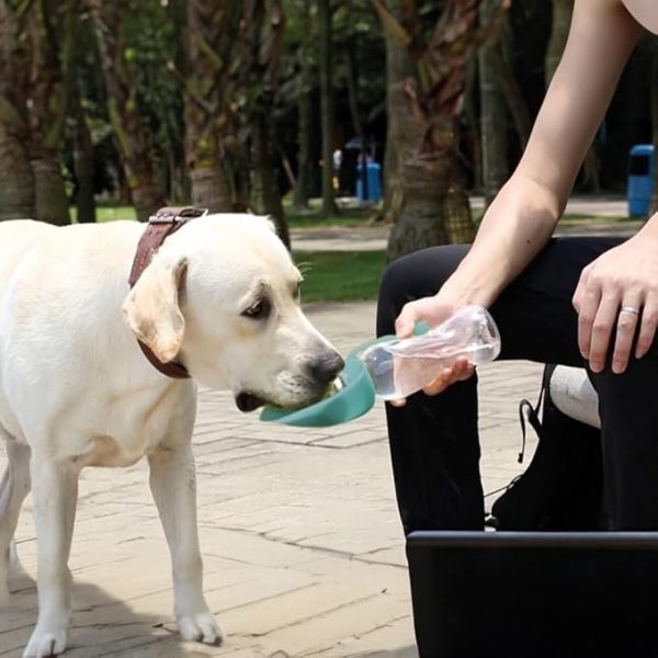 Record – Dispenser d’Acqua con Borraccia – Pratico e Funzionale